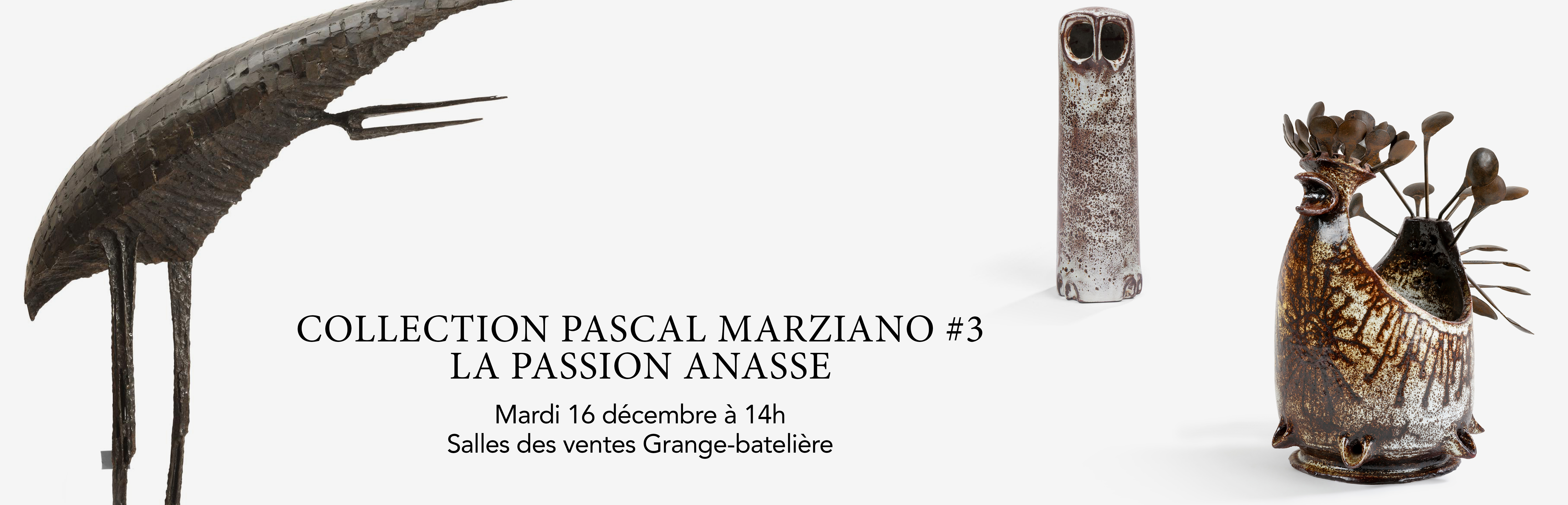 Collection Pascal Marziano #3 : La passion Anasse